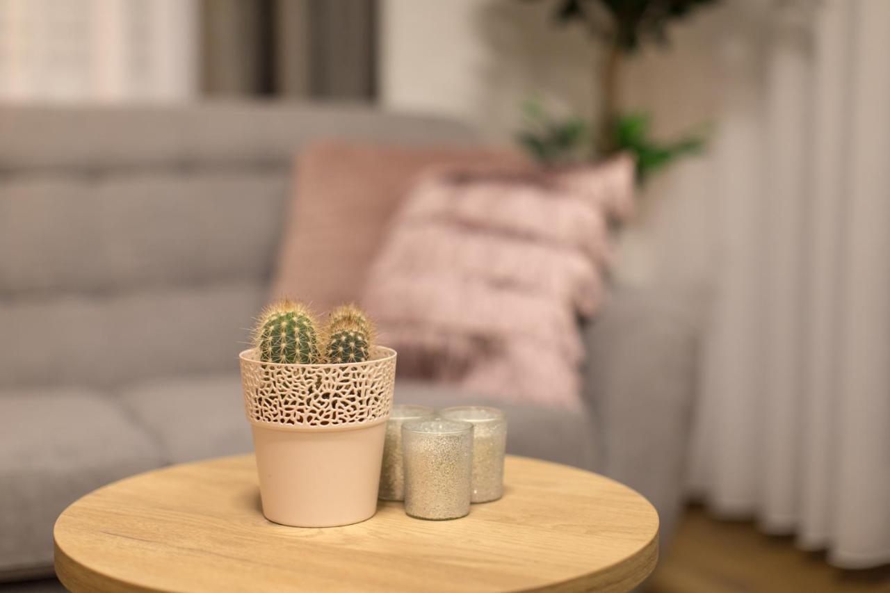 Apartmani I Sobe Pejacevic 오시예크 외부 사진